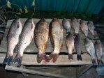 не густо, а вкусно